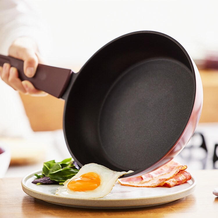 ��ü���η��ե饤�ѥ� 22cm DCF-I22