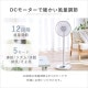ڥꥹޡۥ⥳󼰥ӥ DC⡼ ϥ LFD-307H ۥ磻