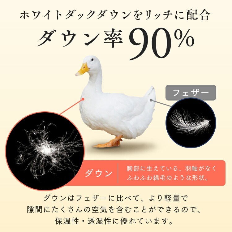 ���ӳݤ����ĥۥ磻�ȥ��å�������90% D PAA24RP0324