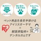 ڥꥹޡۥǥ󥿥륬D