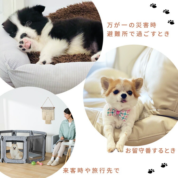 ڥꥹޡޤꤿߥڥåȥ AOPS-6P 졼