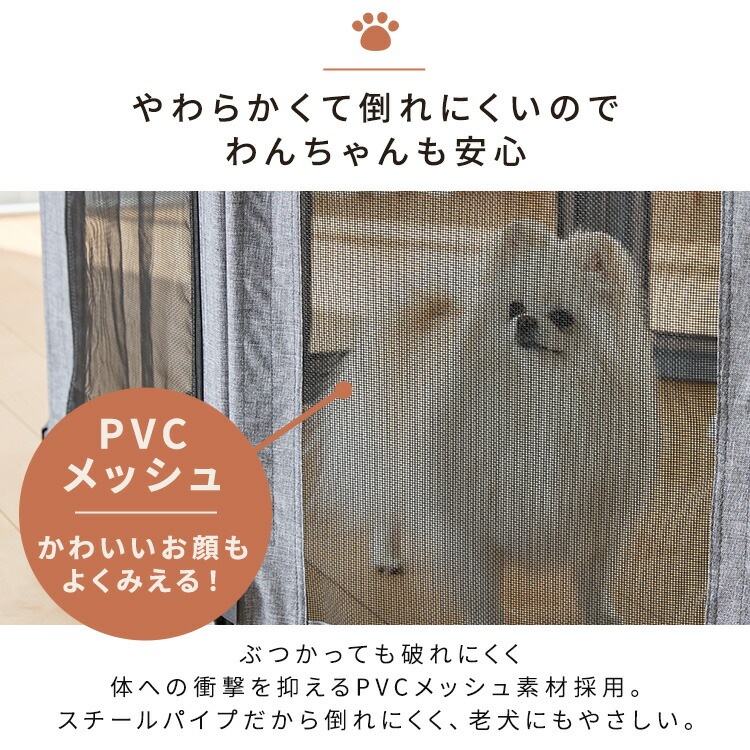 ڥꥹޡޤꤿߥڥåȥ AOPS-6P 졼