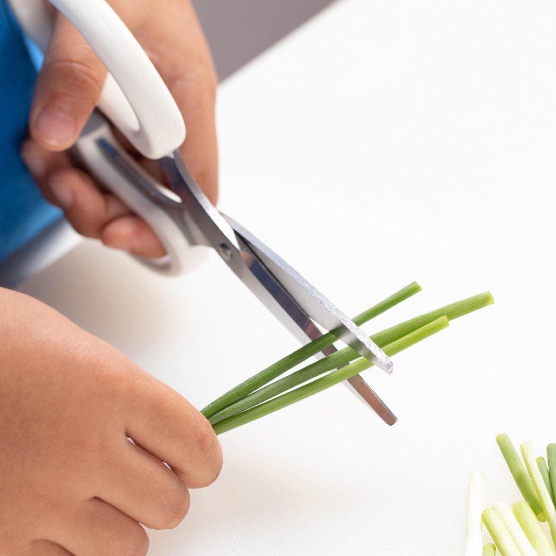 ��SUNCRAFT�� ��������������� 5�����å� ��������