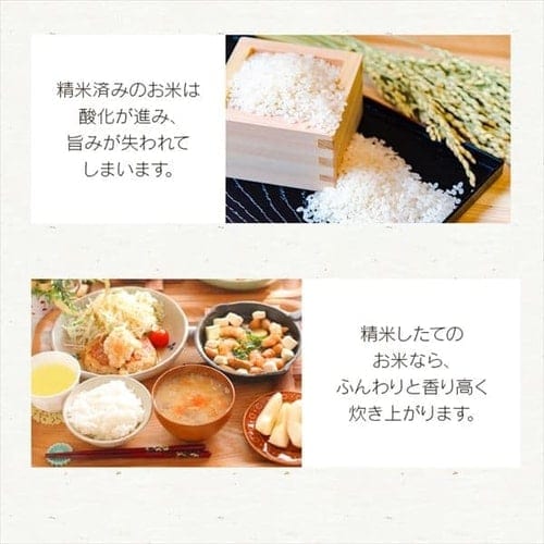 REI精米10キロ×2 Amazon.co.jp: 【精米】アイリスオーヤマ 低温製法米 千葉県産