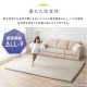 �顦���å����饰�ܿ��䴶�˸������� ACRGR-1818