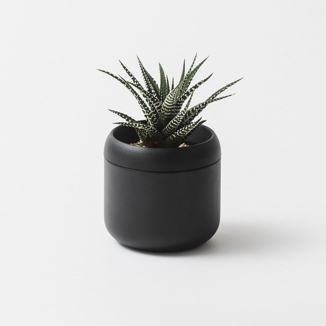 ��PLANT POT HACHI�� �ץ��ȥݥå� �ϥ� 2��