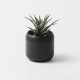 ��PLANT POT HACHI�� �ץ��ȥݥå� �ϥ� 2��