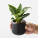 ��PLANT POT HACHI�� �ץ��ȥݥå� �ϥ� 2��
