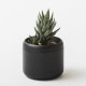 ��PLANT POT HACHI�� �ץ��ȥݥå� �ϥ� 2��