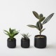��PLANT POT HACHI�� �ץ��ȥݥå� �ϥ� 2��