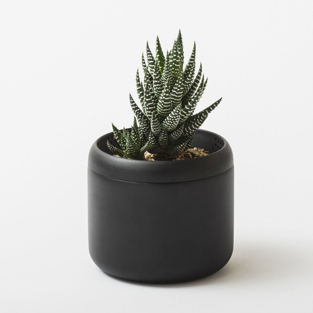 ��PLANT POT HACHI�� �ץ��ȥݥå� �ϥ� 2�桦3�楻�å�
