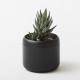 ��PLANT POT HACHI�� �ץ��ȥݥå� �ϥ� 2�桦3�楻�å�