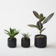 ��PLANT POT HACHI�� �ץ��ȥݥå� �ϥ� 2�桦3�楻�å�