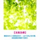 IonicBreeze ե륿쥹 ֥å