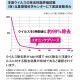 IonicBreeze ե륿쥹 ۥ磻