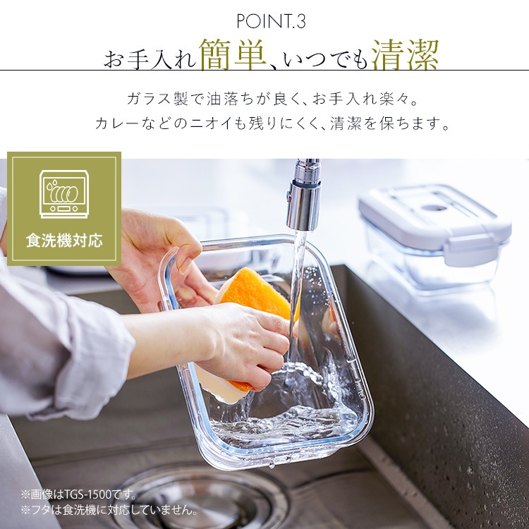 ��Ǯ���饹�ƴ� TGS-650