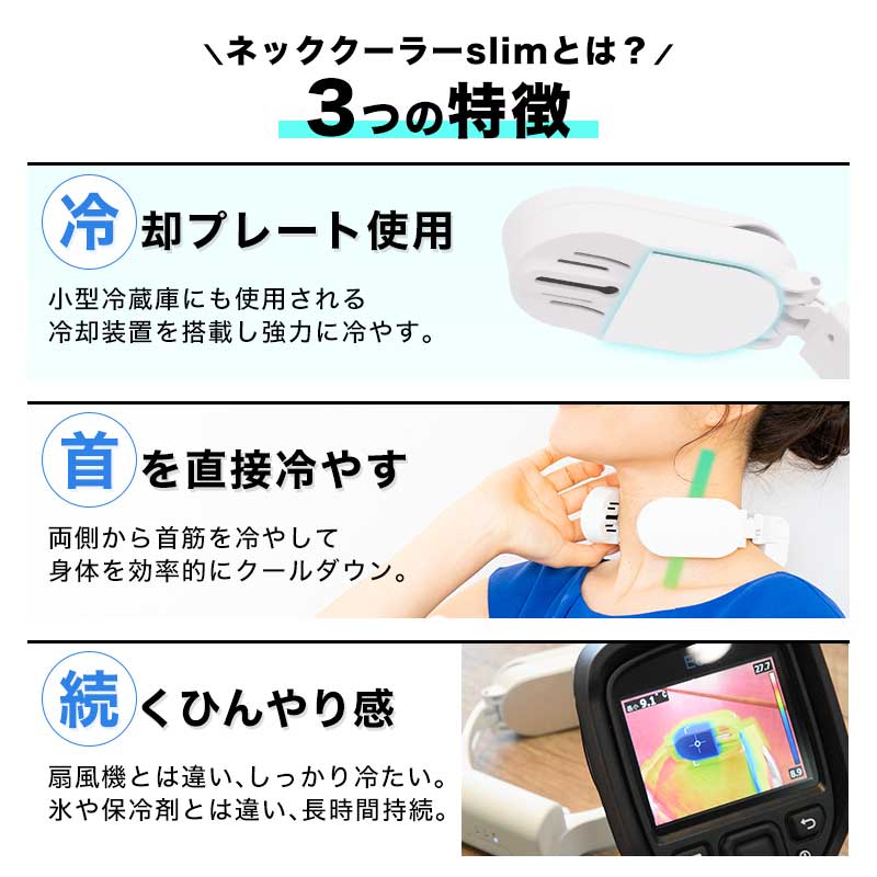 ڥꥹޡۥ󥳡 ͥå顼Slim TKNNC22
