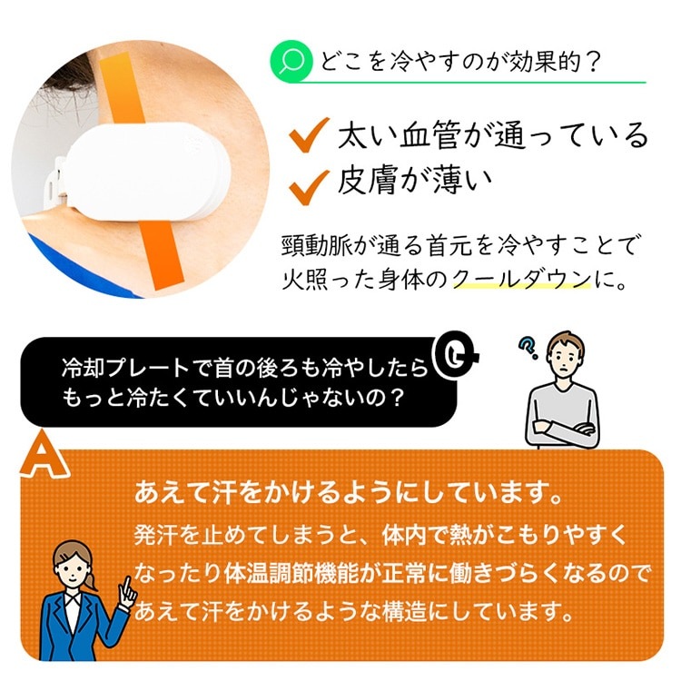 ڥꥹޡۥ󥳡 ͥå顼Slim TKNNC22