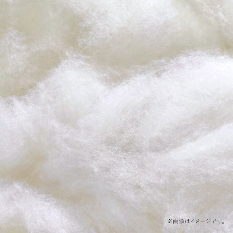 3�ͳݤ����������ե� BCS-3S