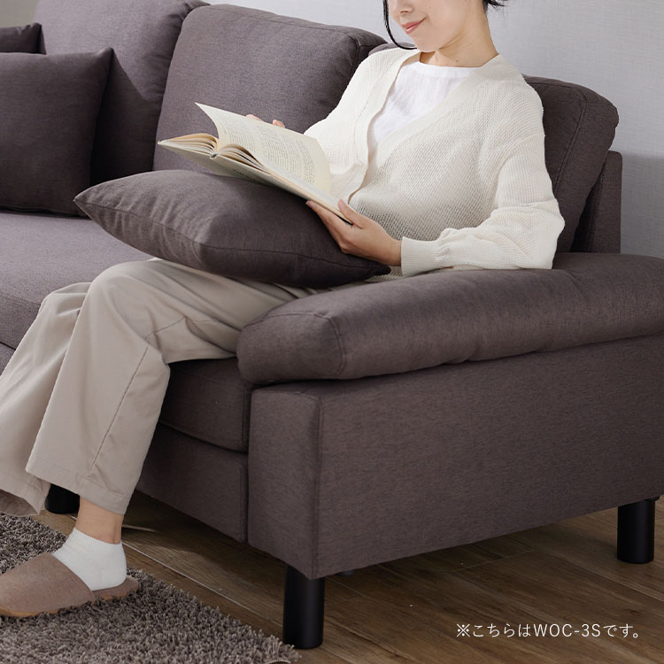 3�ͳݤ����������ե� BCS-3S