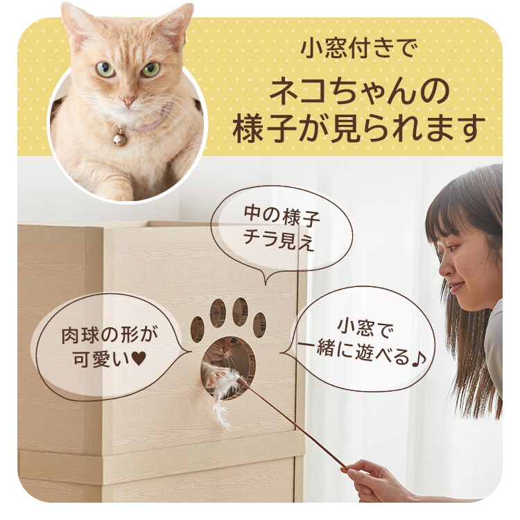 �ͤ��ͤ���� 2�� P-NT2