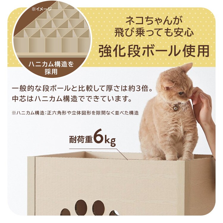 �ͤ��ͤ���� 2�� P-NT2