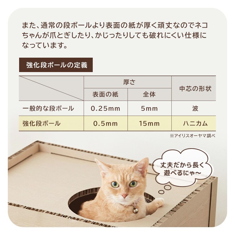 �ͤ��ͤ���� 3�� P-NT3