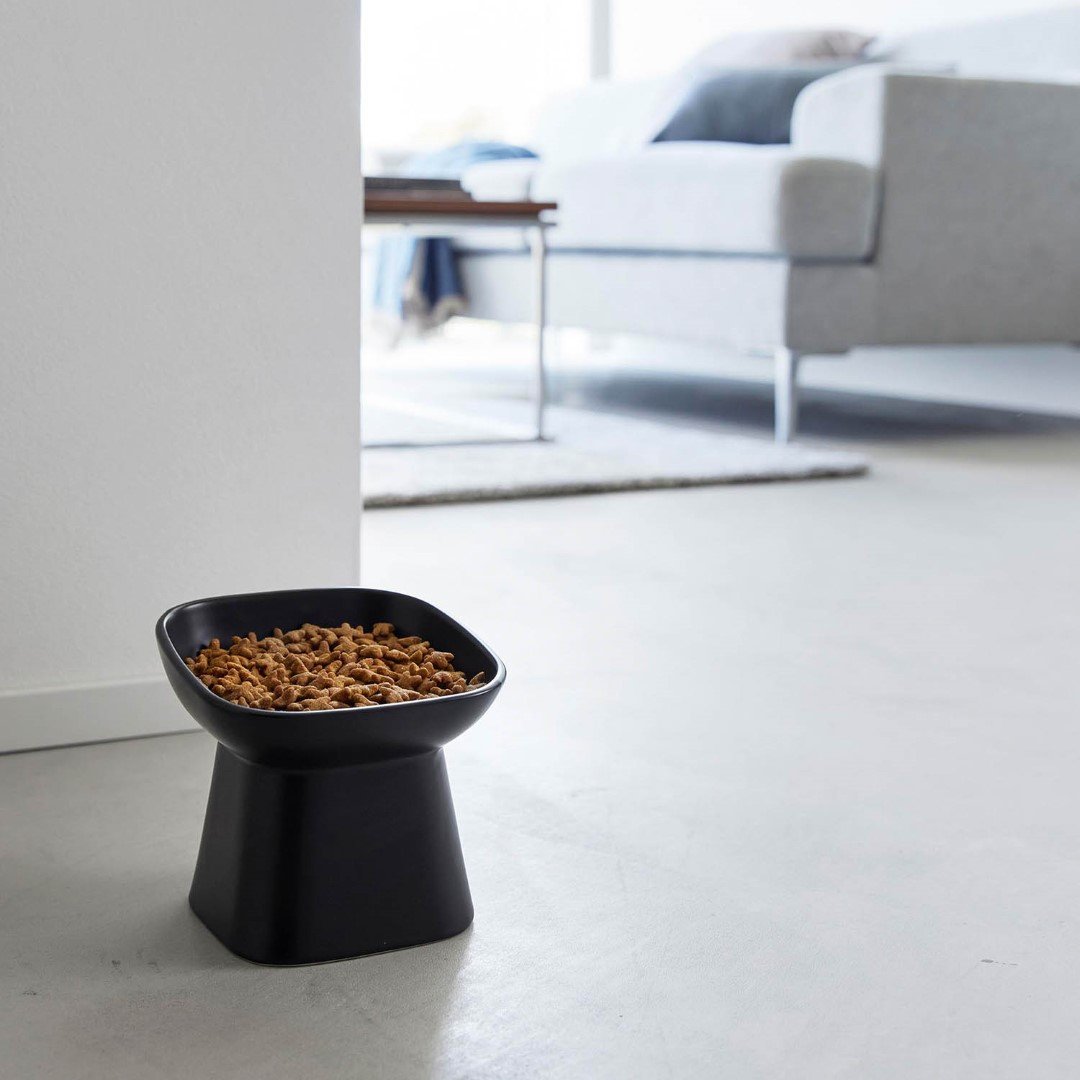 tower】 食べやすい高さ陶器ペットフードボウル 斜めトール｜リビング