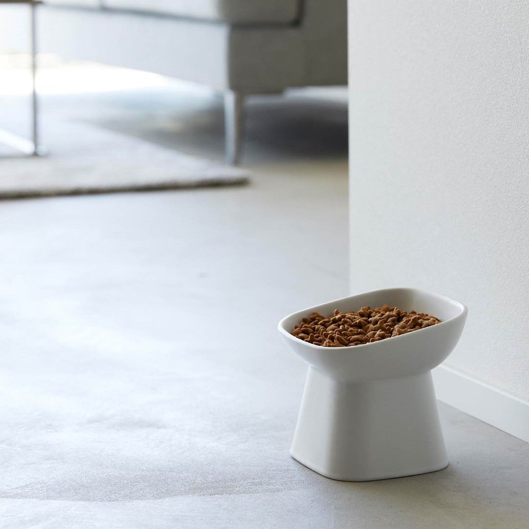 tower】 食べやすい高さ陶器ペットフードボウル 斜めトール｜リビング