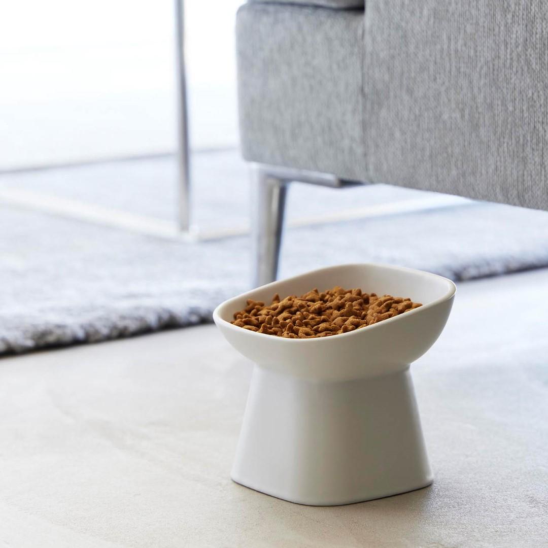 tower】 食べやすい高さ陶器ペットフードボウル 斜めトール｜リビング
