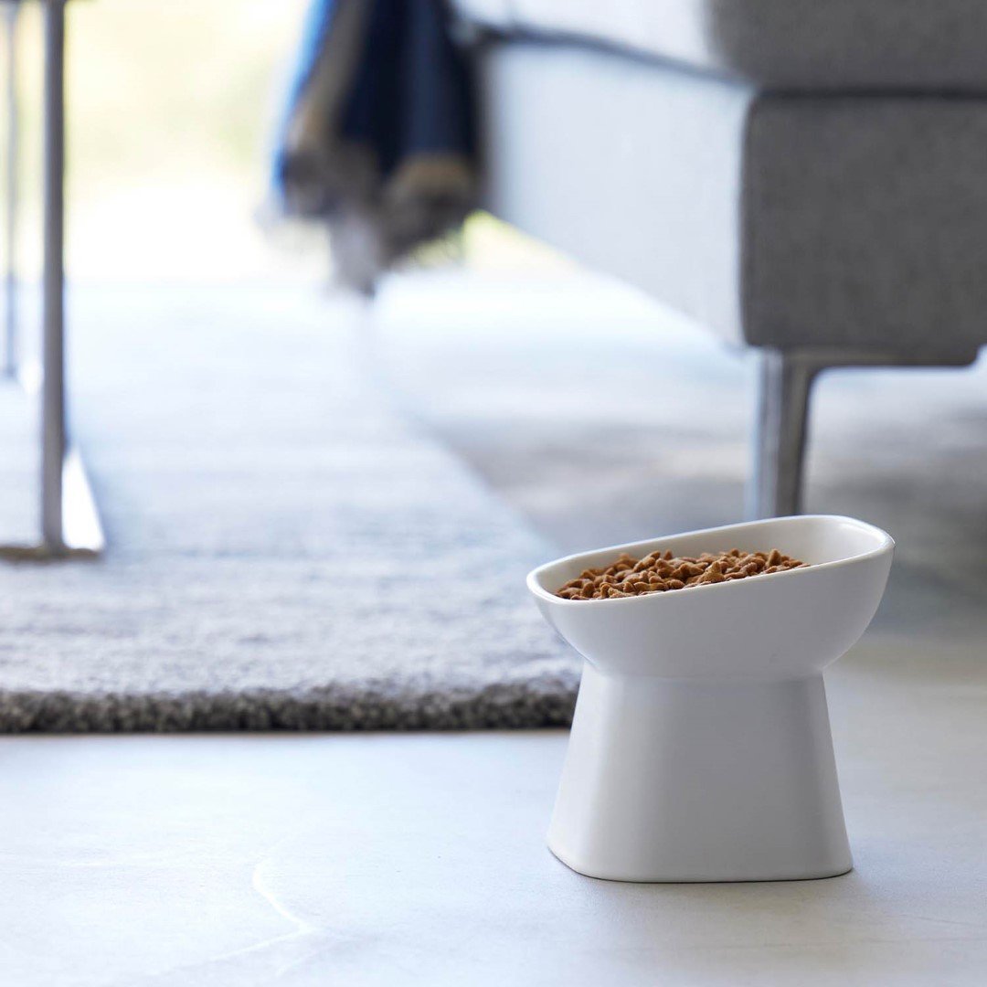 tower】 食べやすい高さ陶器ペットフードボウル 斜めトール｜リビング