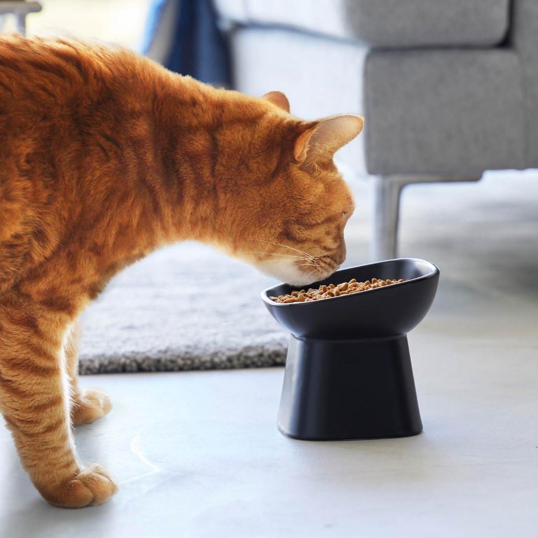 9_000000005835.jpg?1710479380