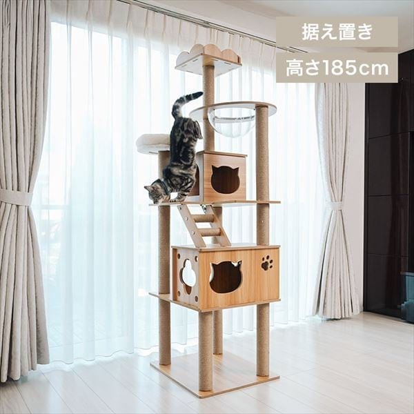 ���Фꥢ������å���� �ϥ�������