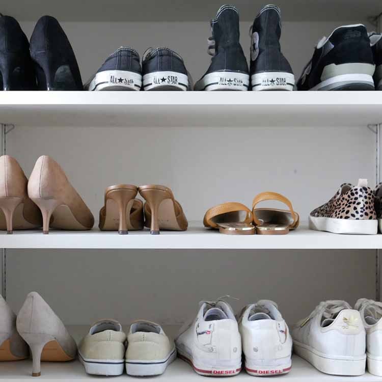 ��like-it�� ���ĥۥ���� �磻�� 6P �ۥ磻��