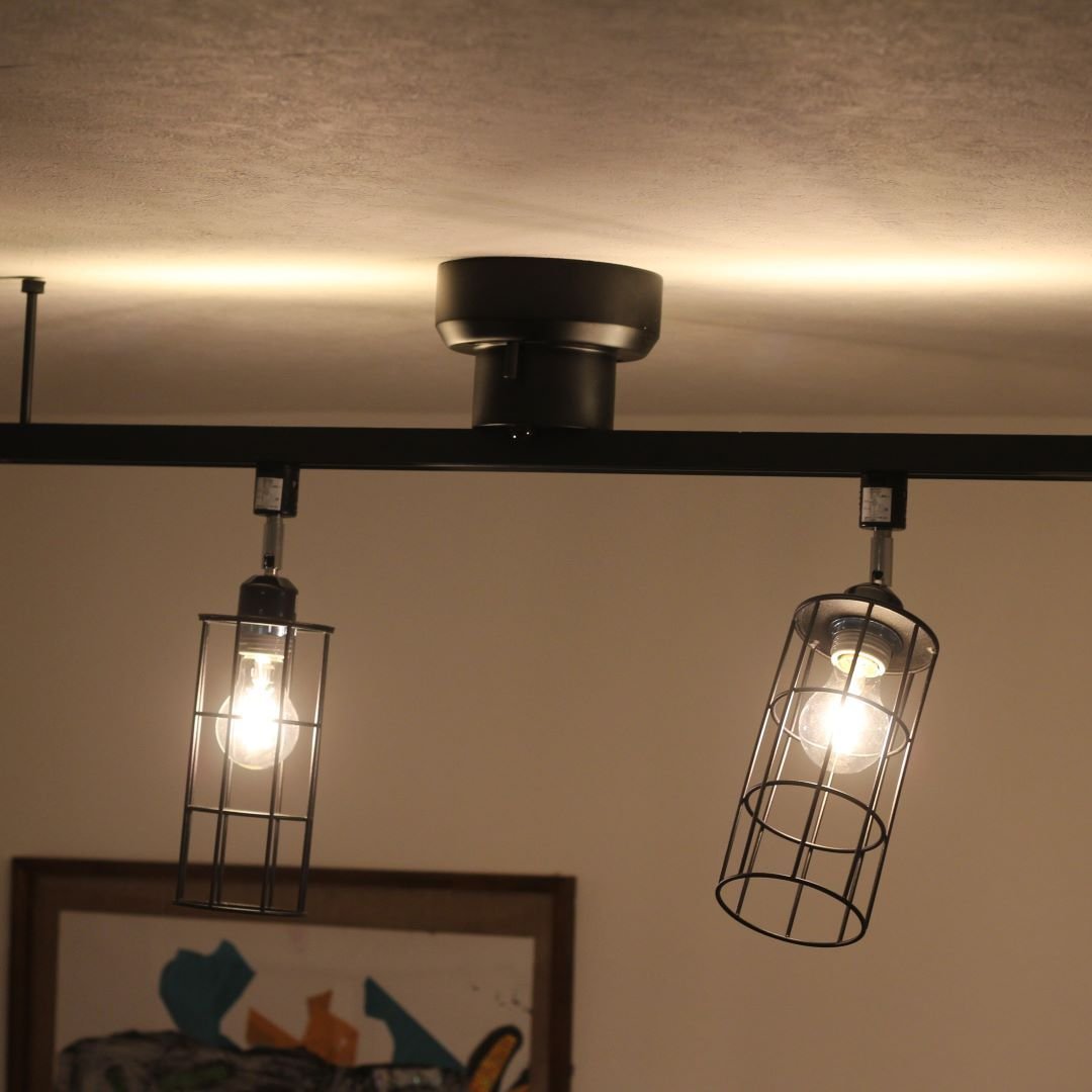 ��BRID�� �ʰ׼���դ������ѥ����ȥ졼��LED�饤���դ�