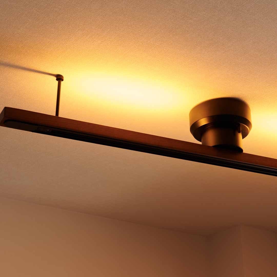 ��BRID�� �ʰ׼���դ������ѥ����ȥ졼��LED�饤���դ�