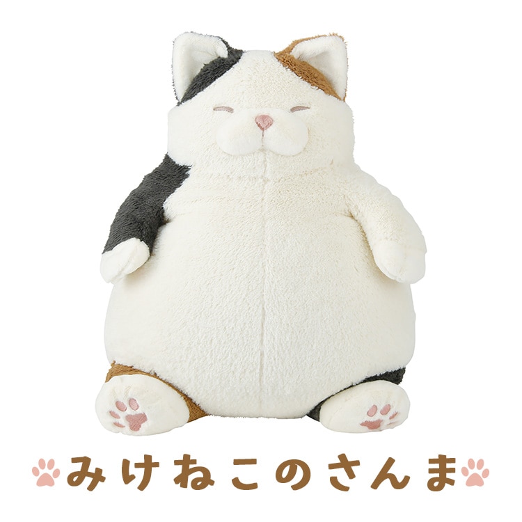 �ͤ����괶 �����ޤ���L 27721-11