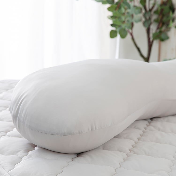 �����ɽ����ܿ��䴶������������ BCBP-001