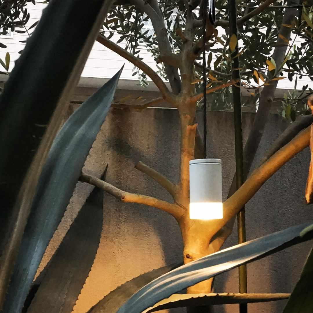 ��BRID�� �ݡ����֥� LED�饤��