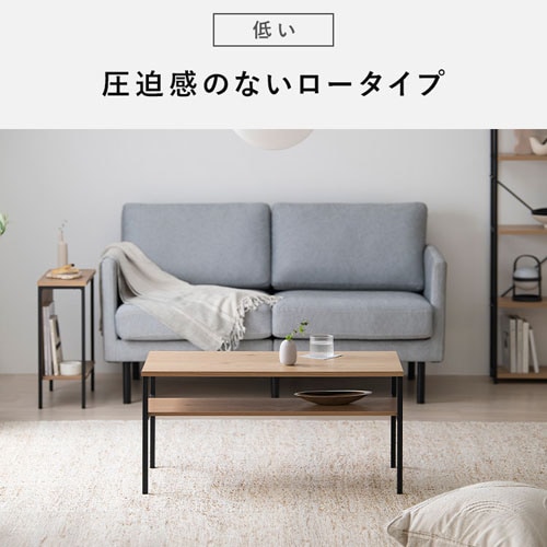 󥿡ơ֥롡HCT-800 ʥ/֥å