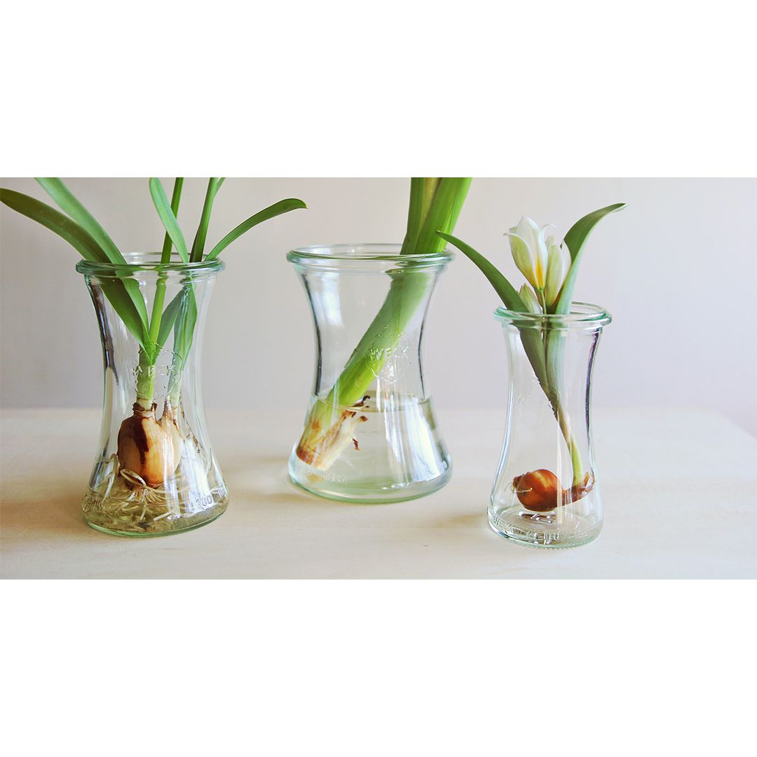 �ǥꥫ�ƥå��� 100ml