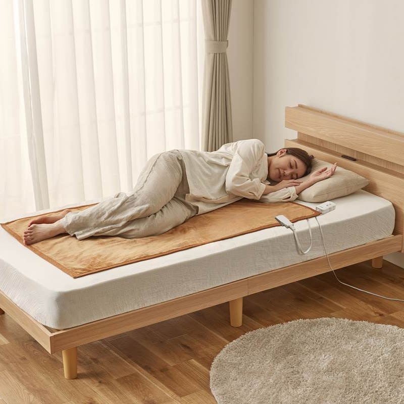 6500ブラウン 電気毛布 掛け敷き EHB-FR1813B-DT ダークブラウン 電気毛布 敷毛布