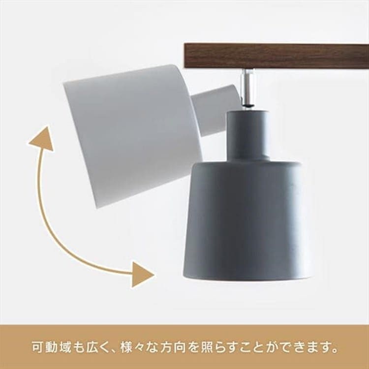 ŵ奻å(ŵ忧)4 ȥ졼 CE4LA-20S