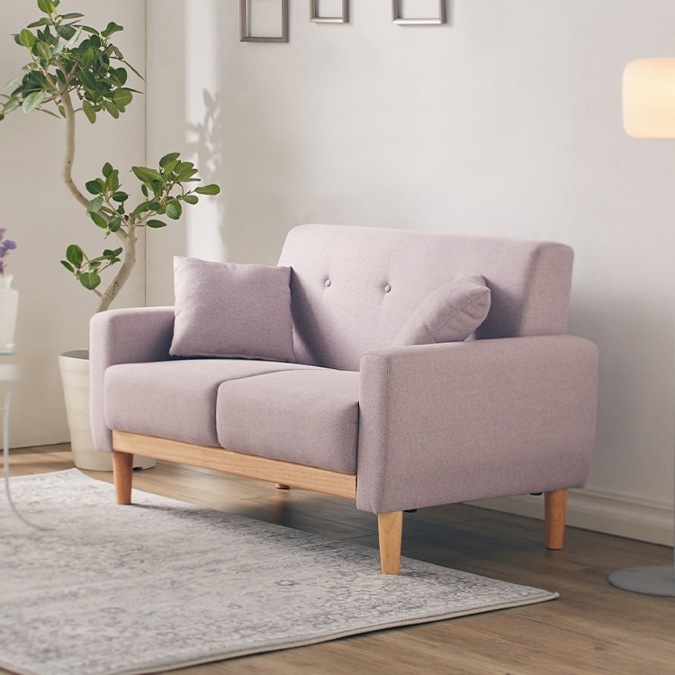 �̲����ǥ����󥽥ե� NDS-2S