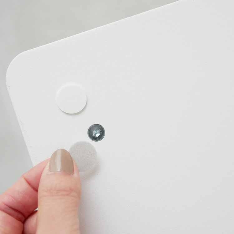 PLAIN ߥɥơ֥ ۥ磻