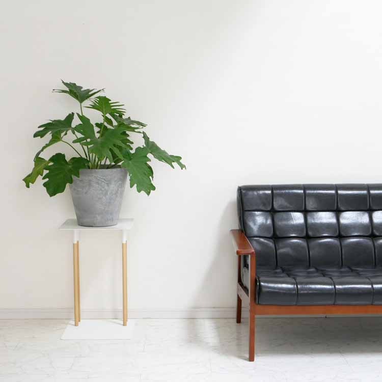 PLAIN ߥɥơ֥ ۥ磻