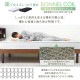 ���Ф���Ǽ�٥å�+�ܥ�ͥ륳����ޥåȥ쥹 ���ߥ��֥먢STB-SD 