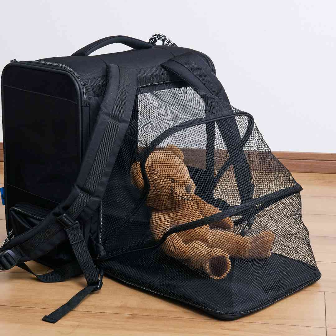 ��CBJAPAN���ޤ����ƥ������ˤ�ʤ���̥ڥåȥ��å�