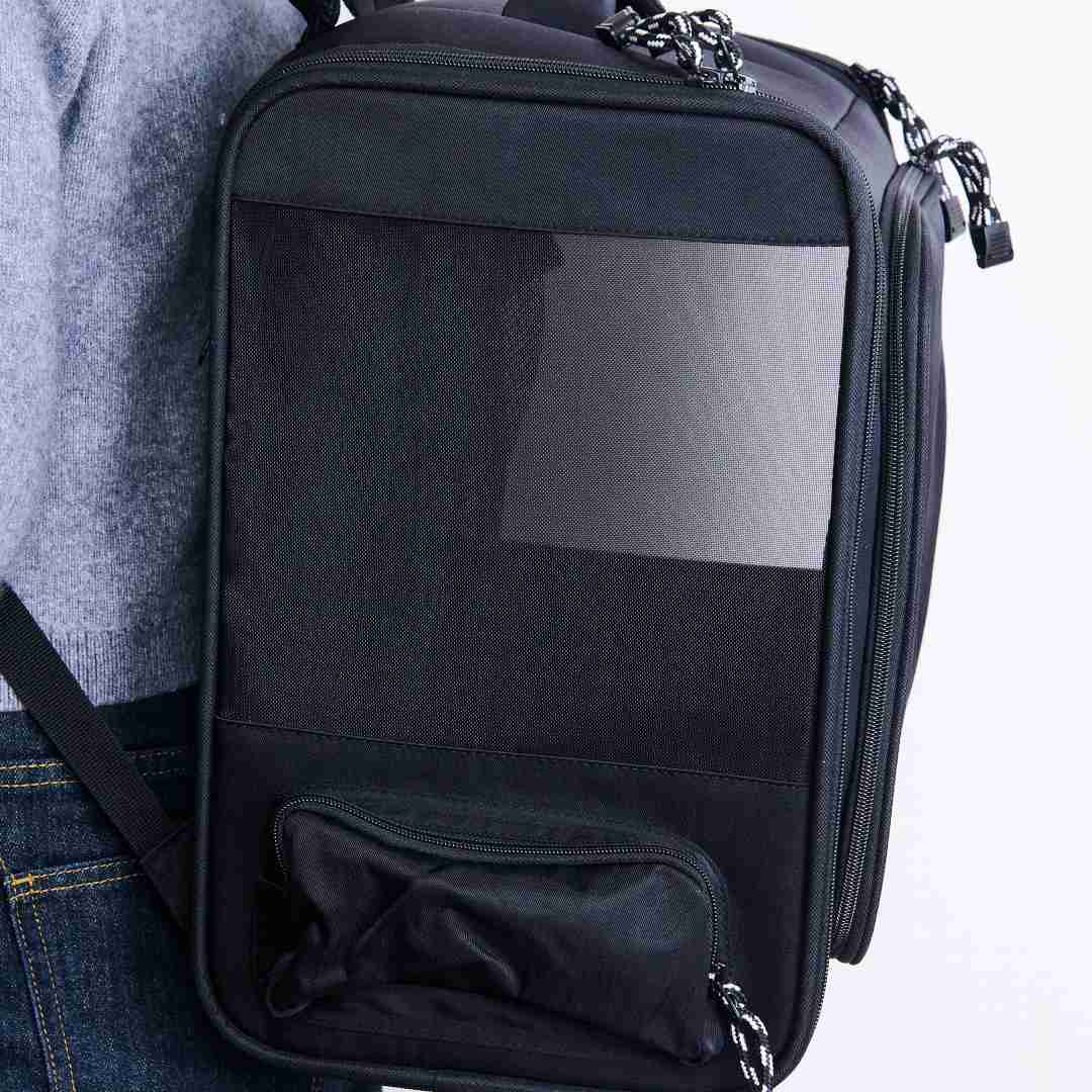 ��CBJAPAN���ޤ����ƥ������ˤ�ʤ���̥ڥåȥ��å�