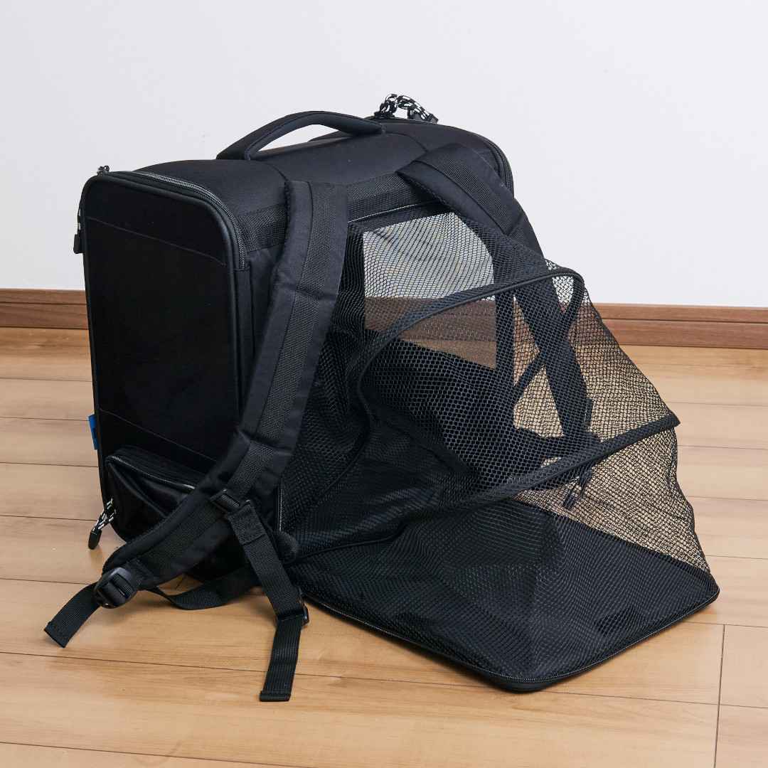 ��CBJAPAN���ޤ����ƥ������ˤ�ʤ���̥ڥåȥ��å�